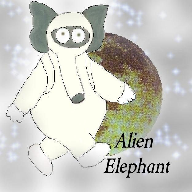 Your Book Cover